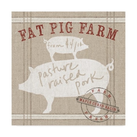 Sue Schlabach 'Farm Linen Pig' Canvas Art,35x35
